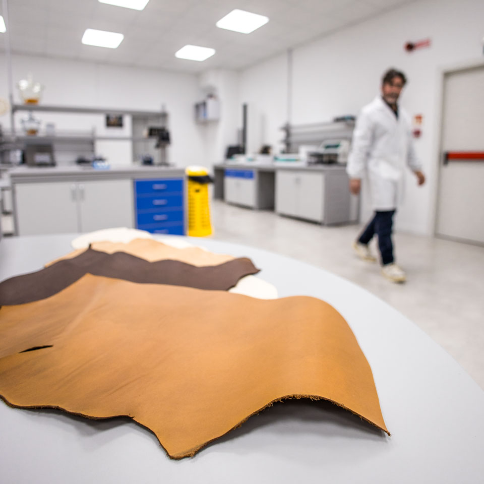 LAB-TECNICO-6
